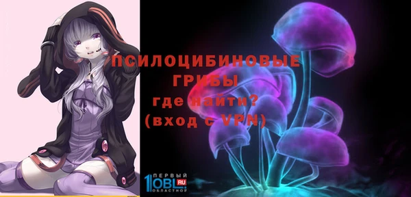 твердый Алексин