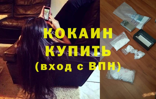 твердый Алексин