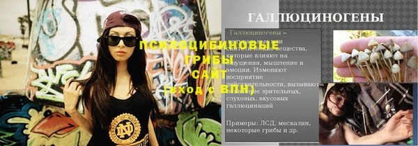 твердый Алексин