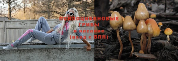 дурь Россошь