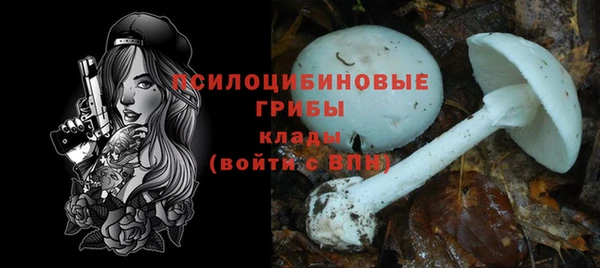 твердый Абинск