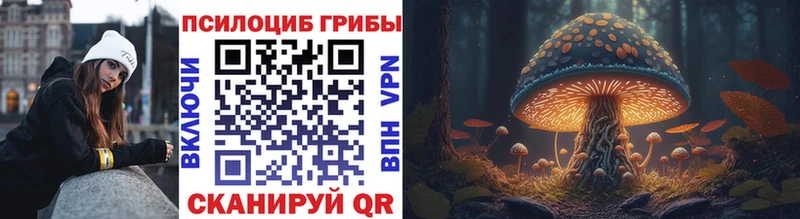 Псилоцибиновые грибы MAGIC MUSHROOMS  продажа наркотиков  ОМГ ОМГ ССЫЛКА  Лихославль 